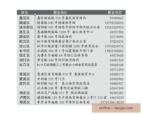 阿什拉夫世界杯赛场影响力解析及其对足球格局的深远影响